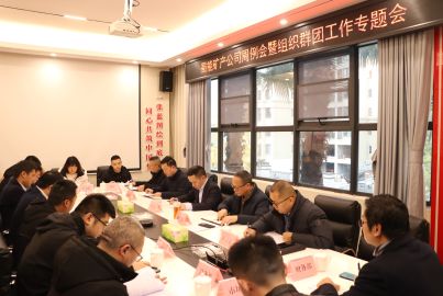 蜀能礦產召開周例會暨組織群團工作專題會